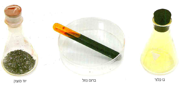 (בספר תמונה, היעזר במנחה)